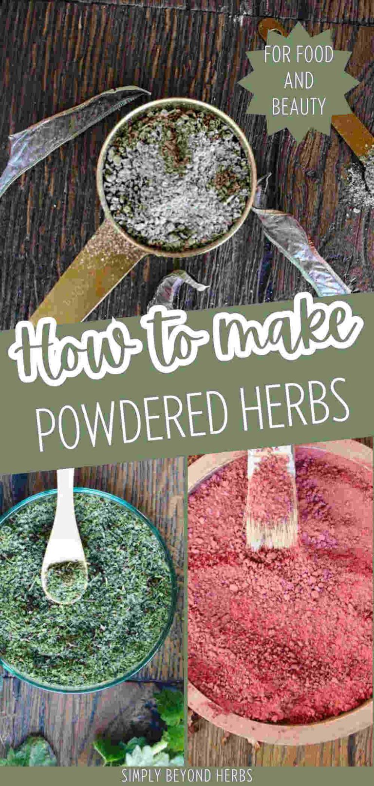 How to make Herbal Powders for Cooking, Beauty, and More ...