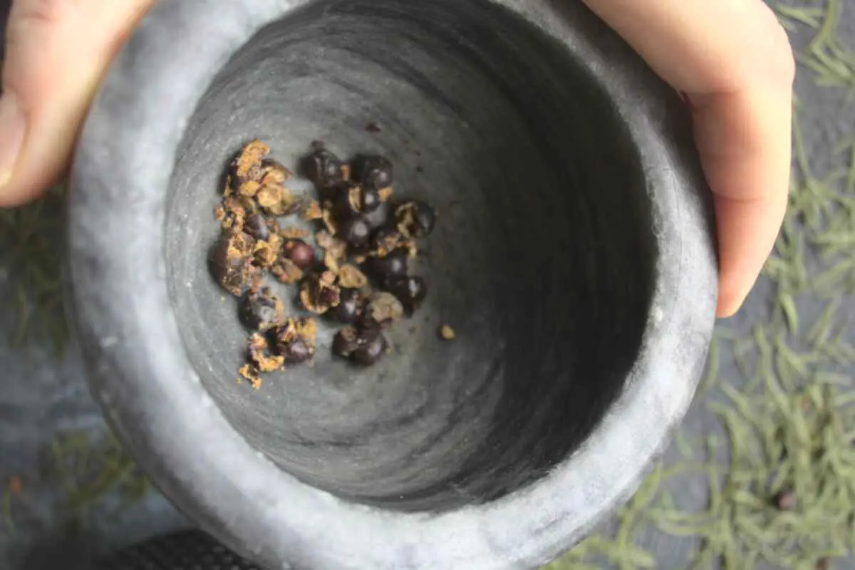 crush juniper berries using a mortar and pestle