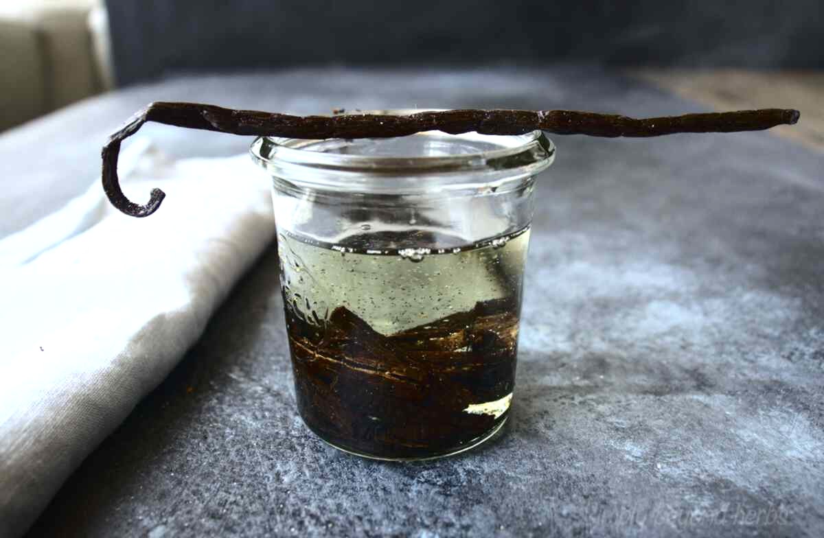 Ingredients to make vanilla oil?