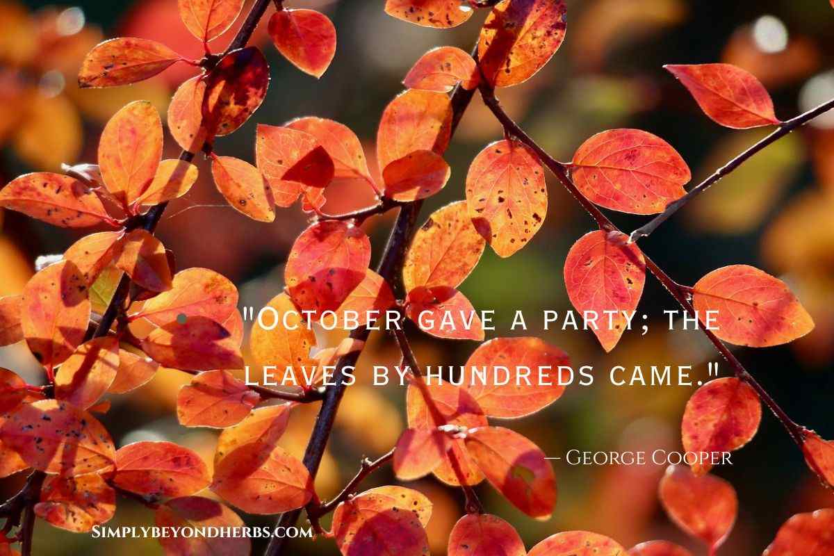 Inspirational Fall Quotes from Famous Poets and Philosophers.