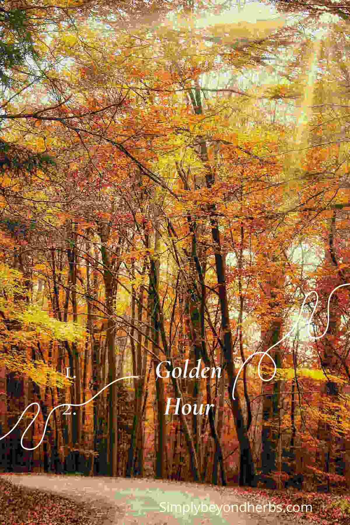 What Makes a Fall Quote So Magical?