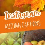 Cute Fall Quotes