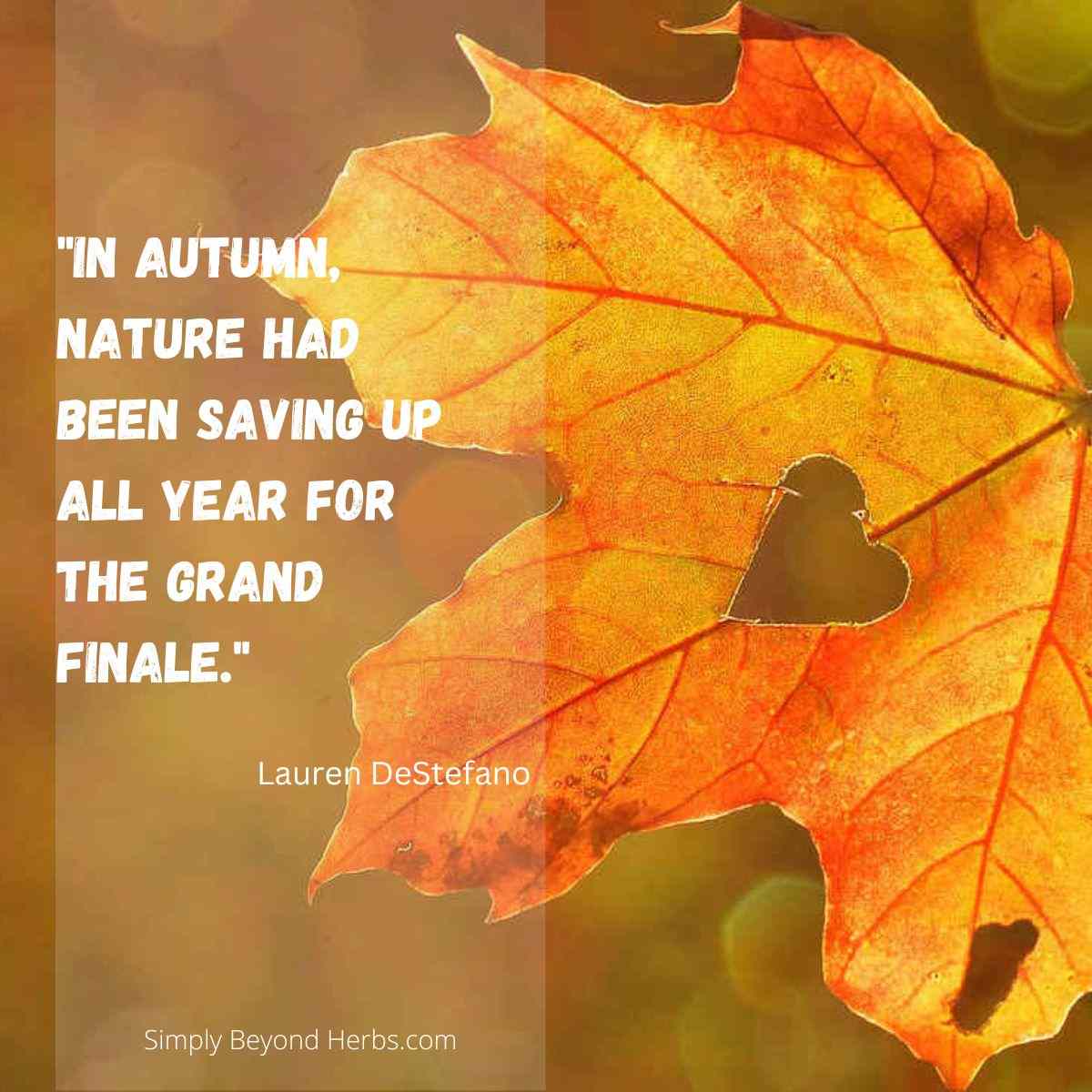One-word Fall Captions