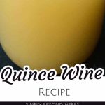 How to make Quince Wine from Ripe Quinces