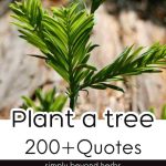 Quotes by Poets and Philosophers About Trees