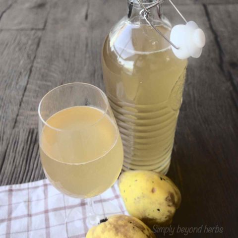 Why Make Quince Wine at Home?