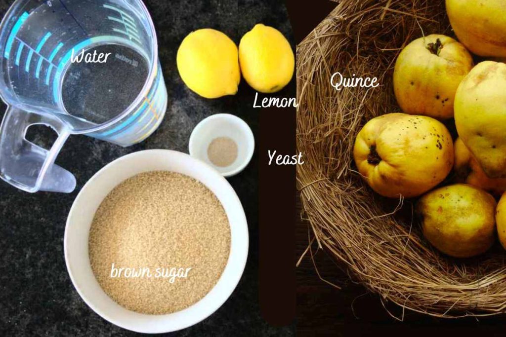Ingredients to make quince wine