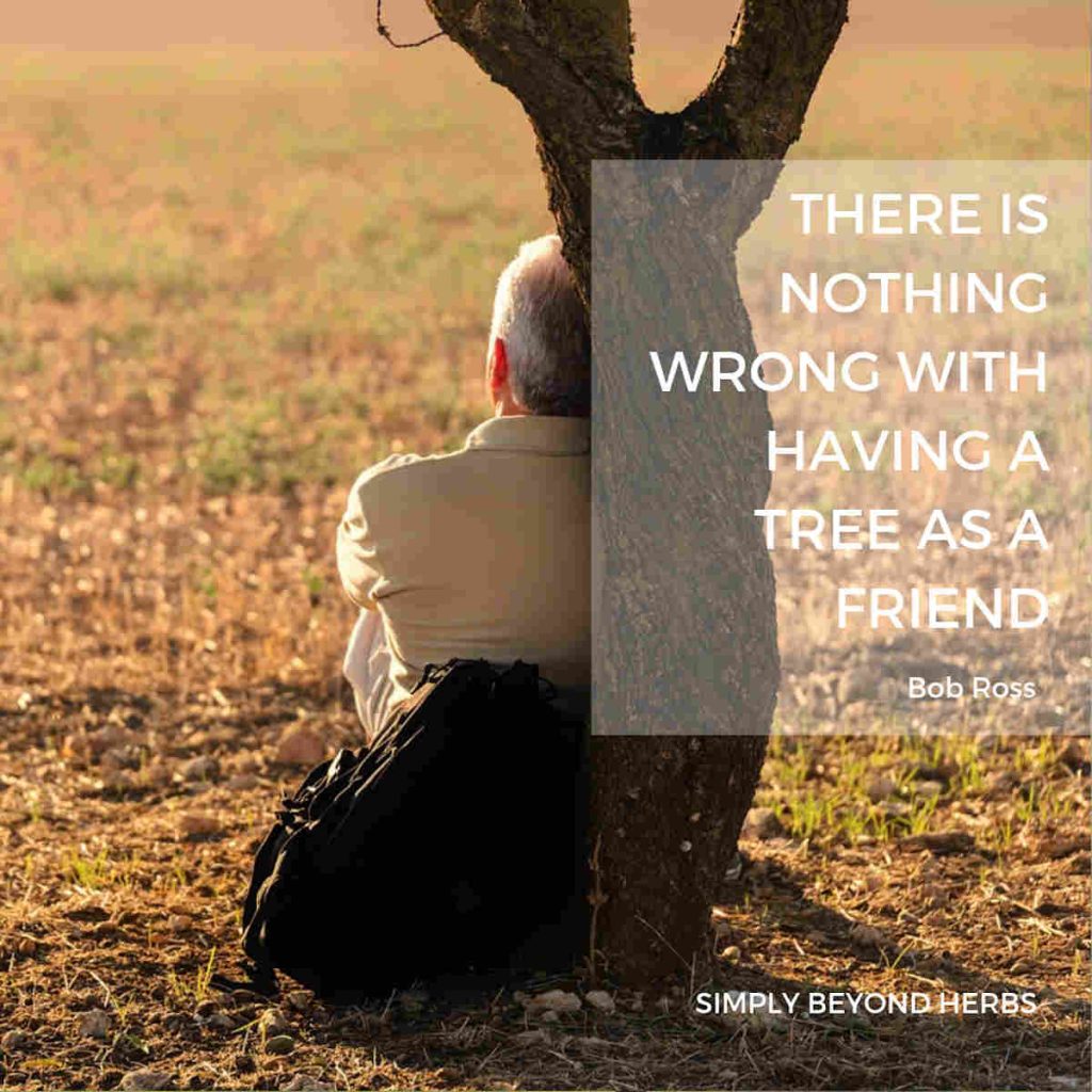 Proverbs About Planting and Shade