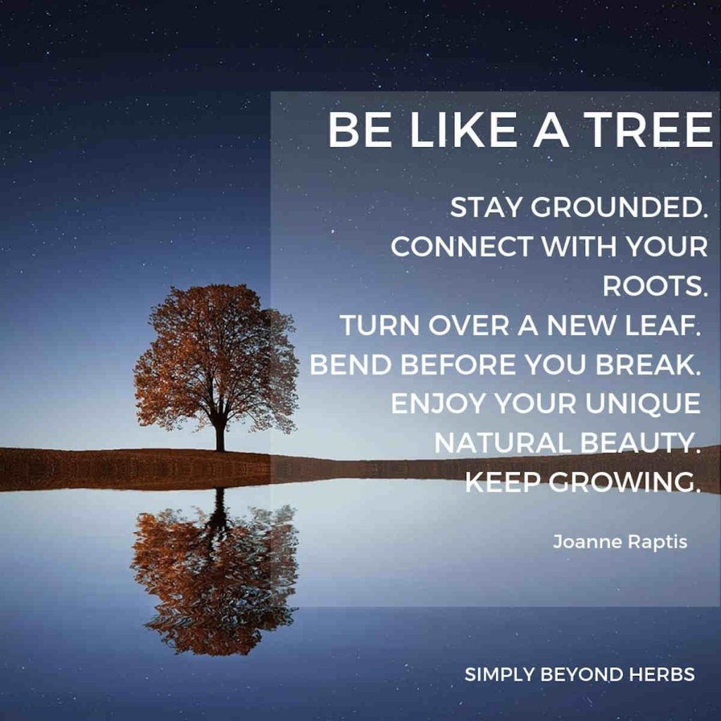 Environmental Quotes About Sustainability