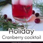 Festive Cranberry Rosemary Cocktail