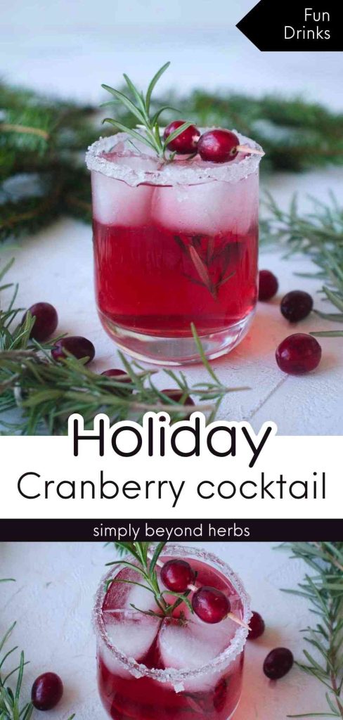 Festive Cranberry Rosemary Cocktail