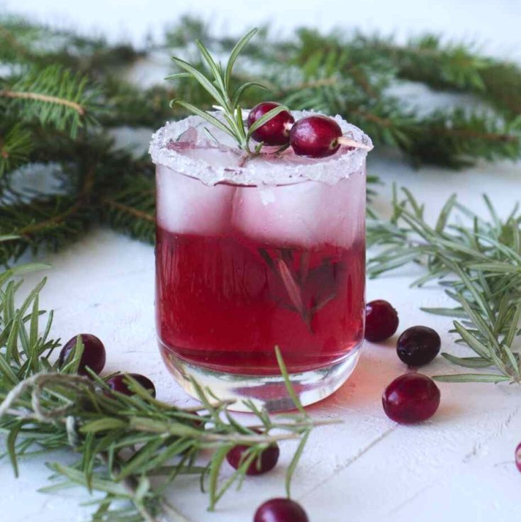 Cranberry Rosemary Cocktail