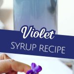 wild violet syrup recipe