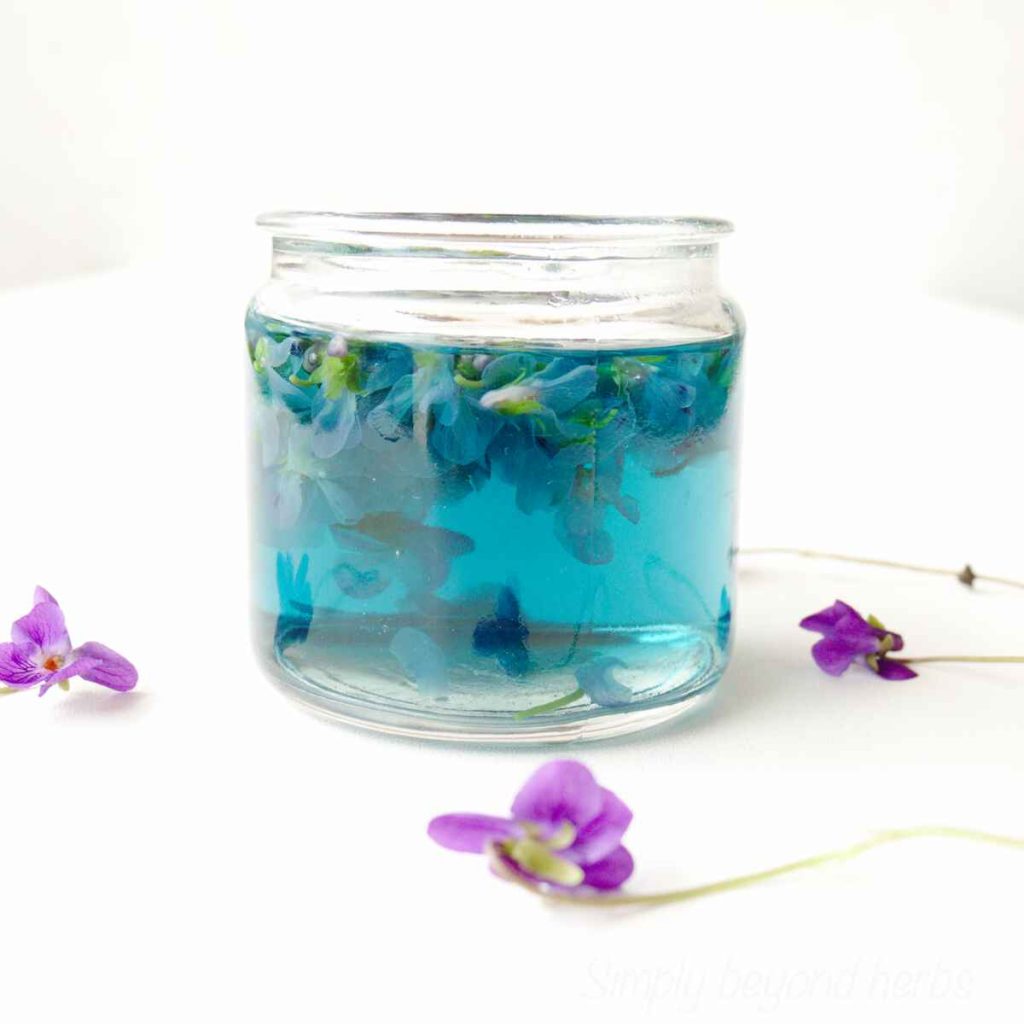 Violet Syrup from Wild Violet Flowers