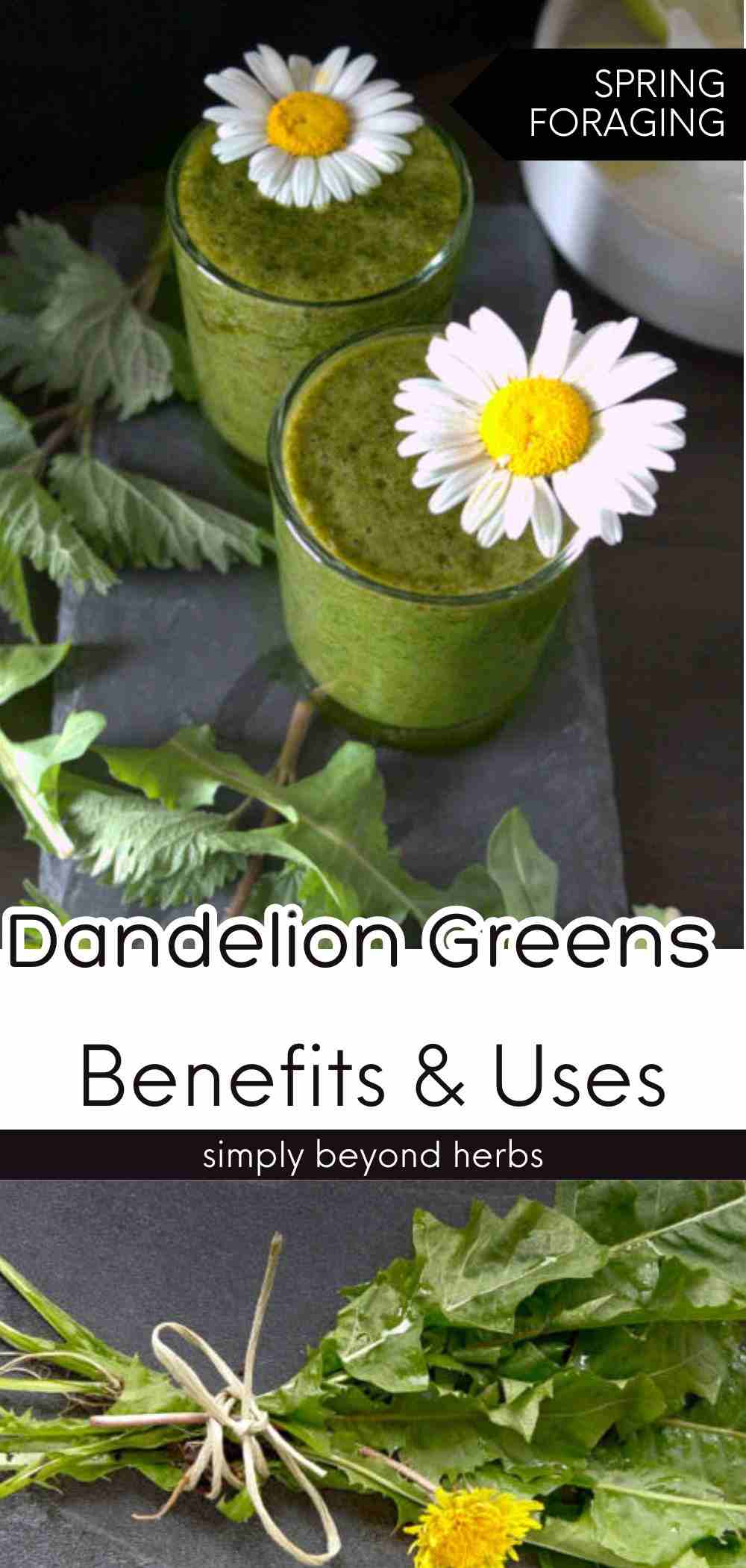 How to Clean and Store Dandelion Greens