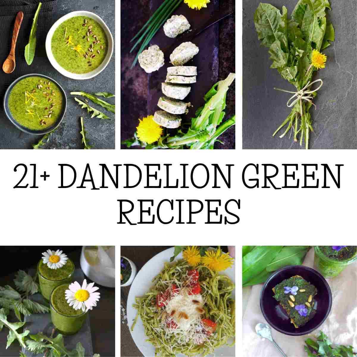 What Are Dandelion Greens?