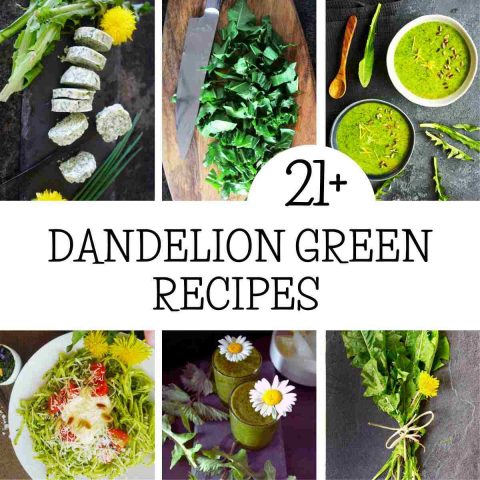 Dandelion Green Recipes: 21 Ways to Eat Them + Benefits & Cooking Tips