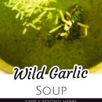 Lemon Wild Garlic Soup