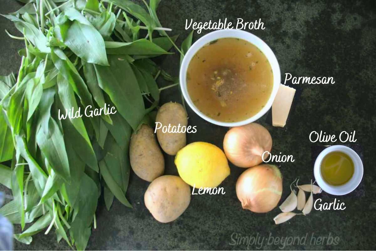Ingredients for Wild Garlic Soup