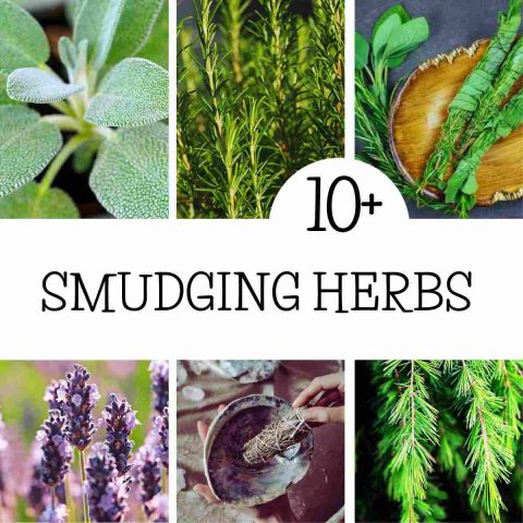 DIY Smudge Sticks and Choosing the Right Herbs