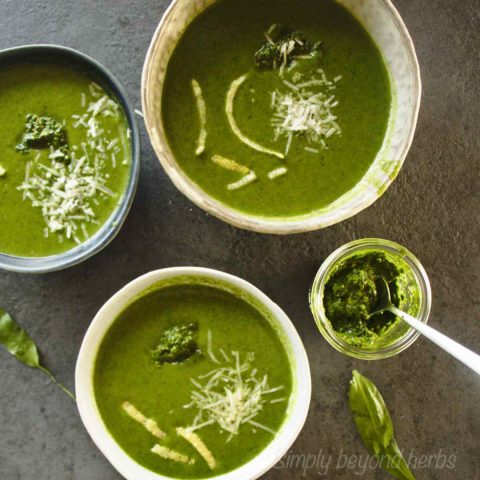 How to Make Wild Garlic Soup