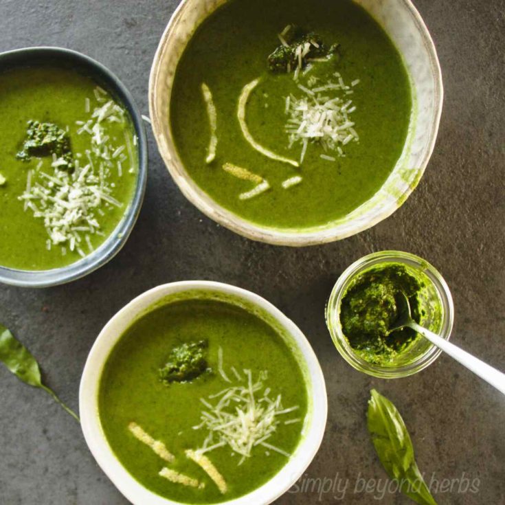 How to Make Wild Garlic Soup