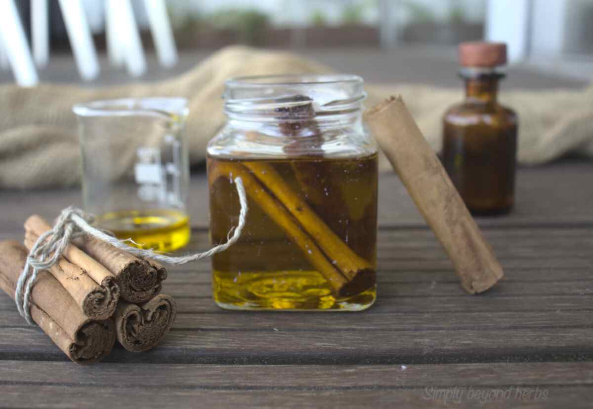 Cinnamon Extract and Oil Blend