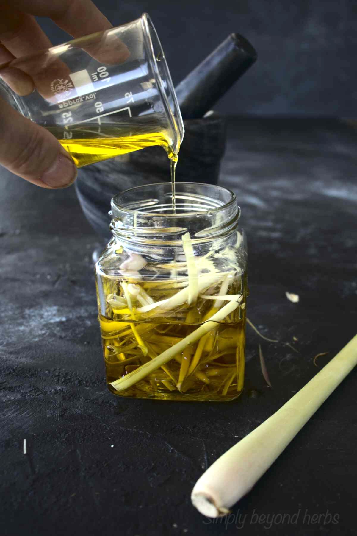 Tips for Making the Best Lemongrass Oil
