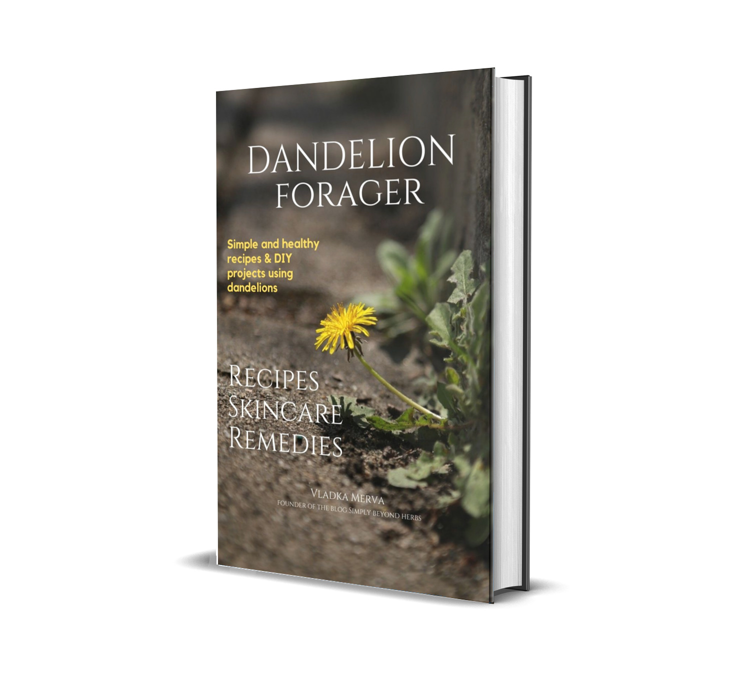 More Dandelions? 
