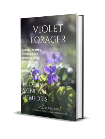 violet forager book cover