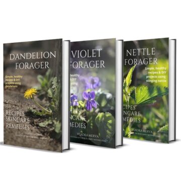 spring bundle