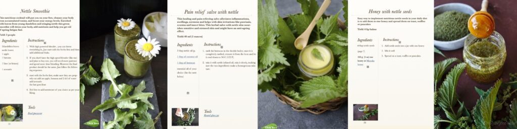 pages of nettle forager from the inside