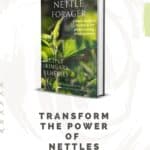 foraging nettle